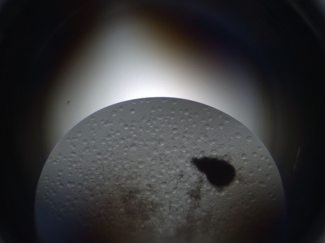 063s_A3_ImagerDefaults_4.jpg