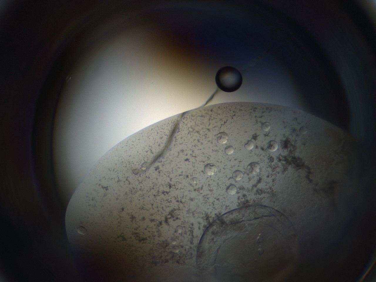 063s_A4_ImagerDefaults_4.jpg