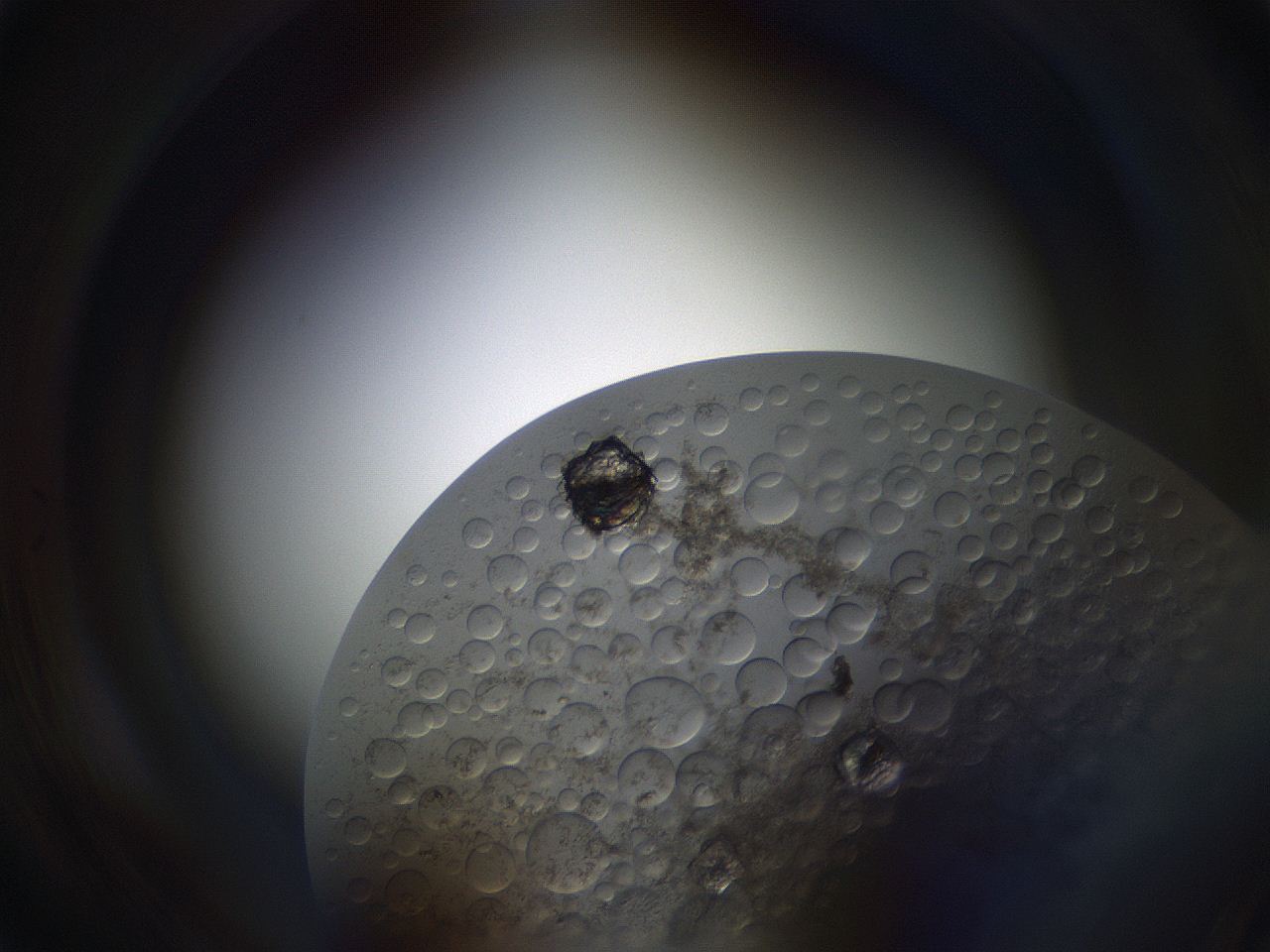 063s_A5_ImagerDefaults_4.jpg
