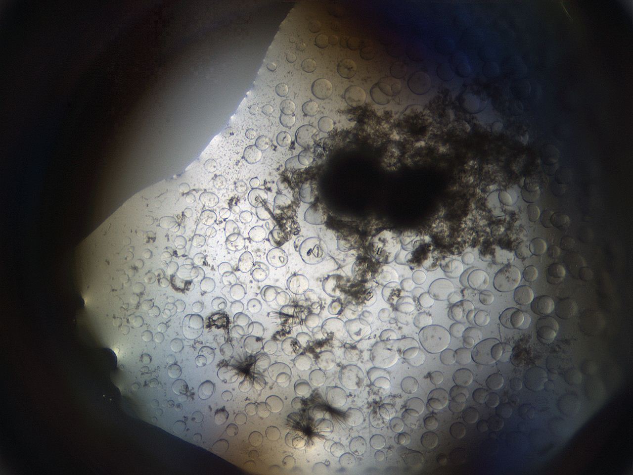 063s_A6_ImagerDefaults_7.jpg