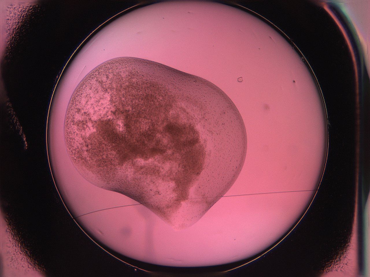 063v_A1_ImagerDefaults_3.jpg