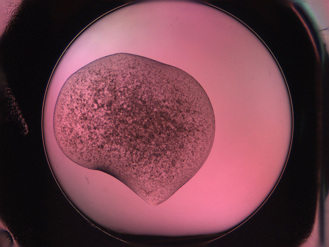 063v_A2_ImagerDefaults_3.jpg