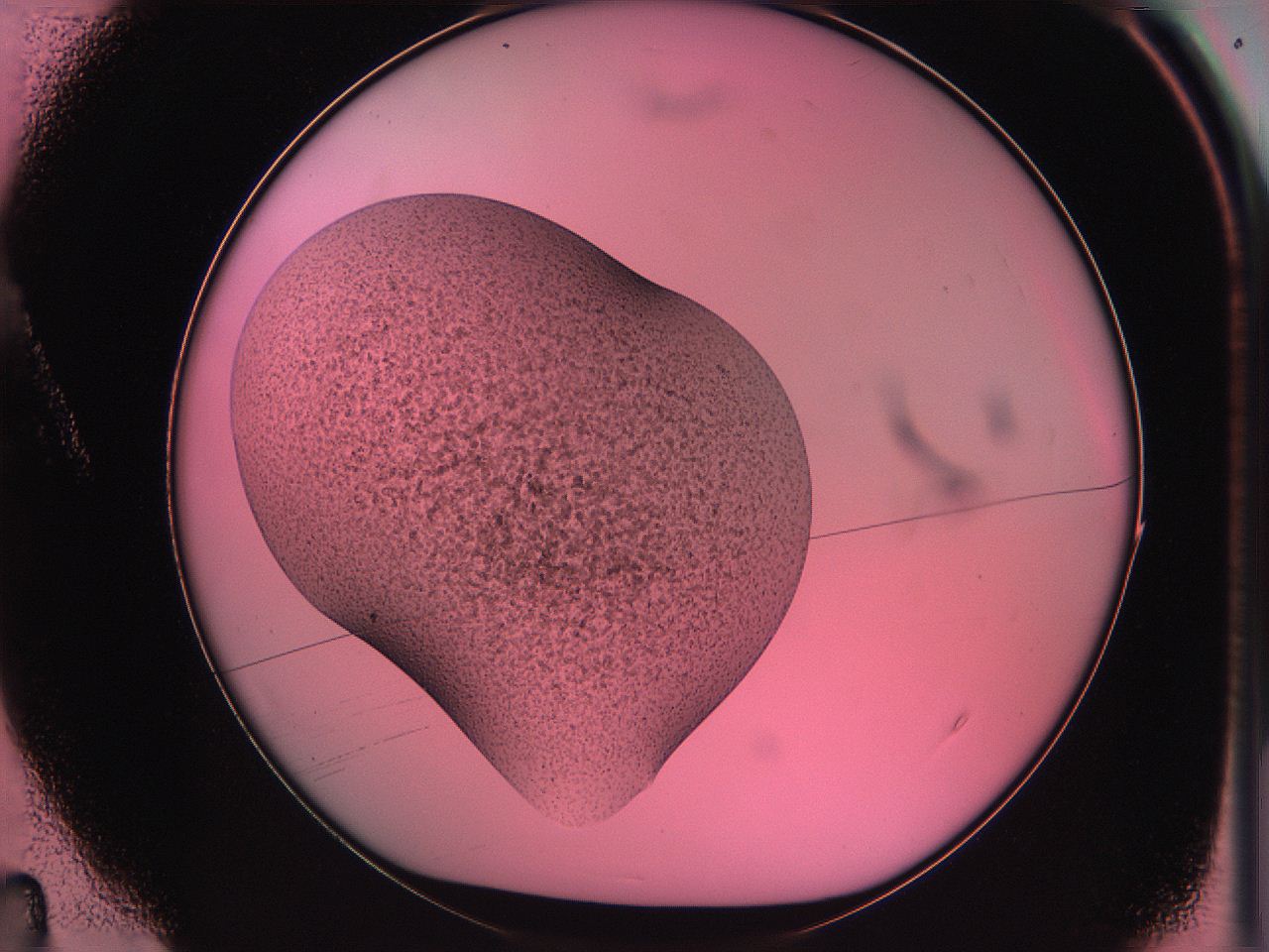 063v_A4_ImagerDefaults_3.jpg