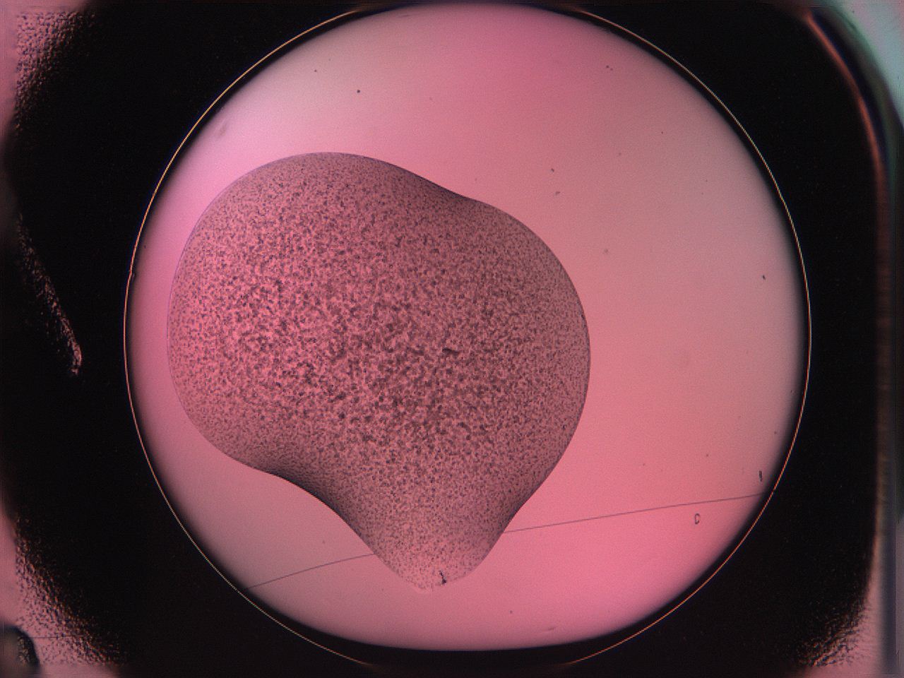 063v_A3_ImagerDefaults_3.jpg