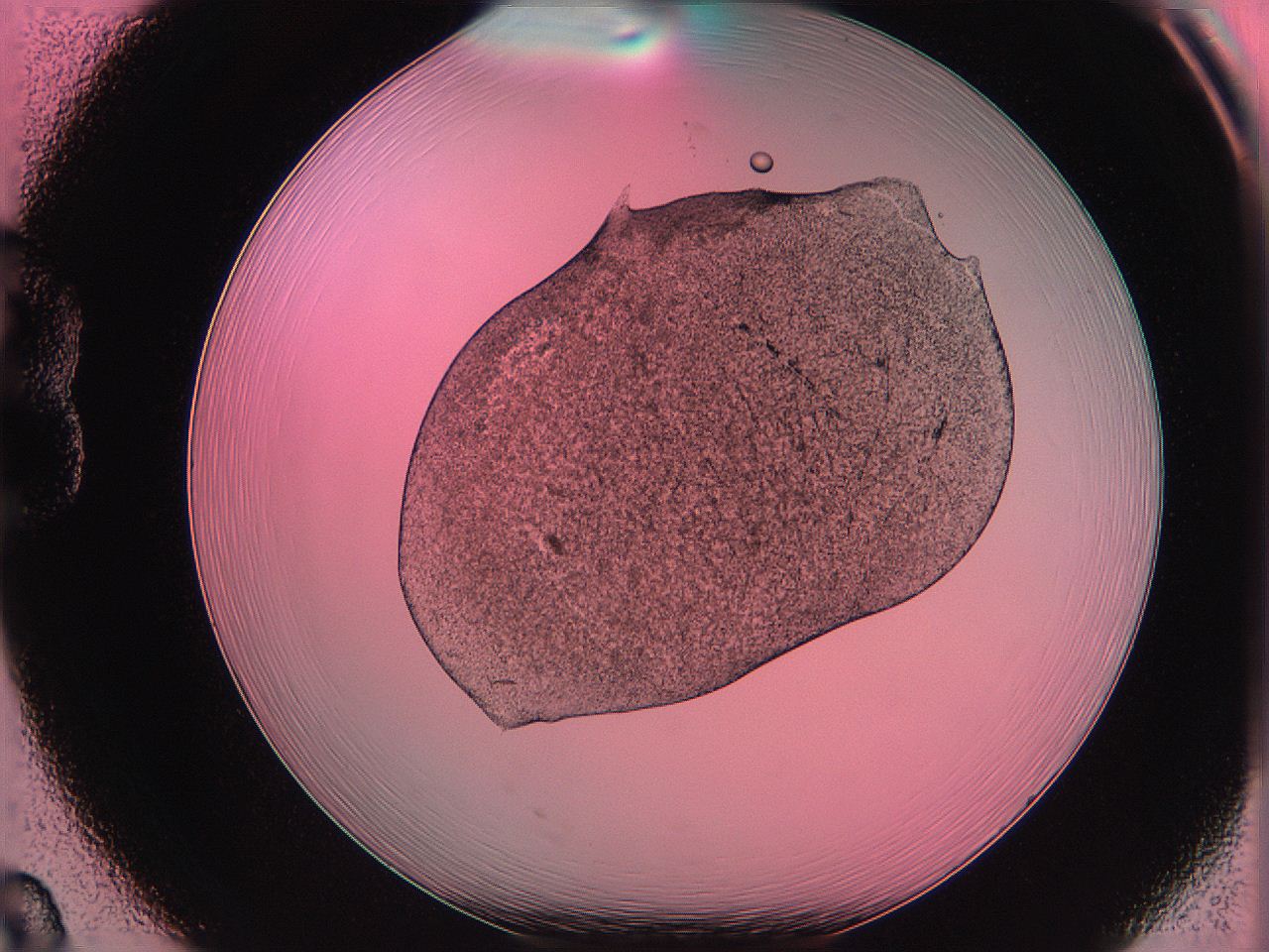 063v_B8_ImagerDefaults_3.jpg