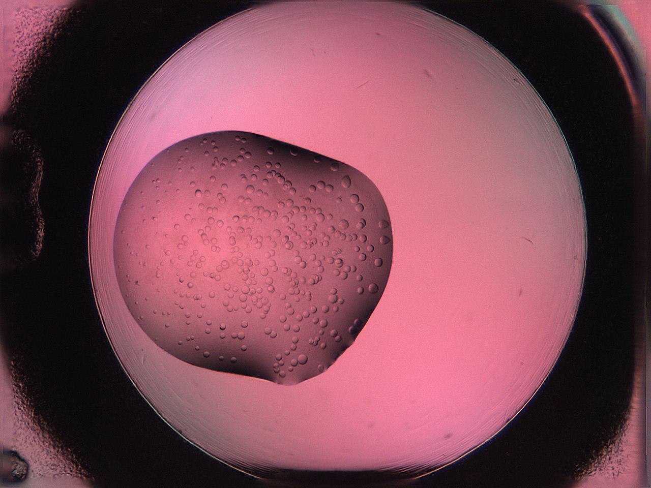 063v_B6_ImagerDefaults_3.jpg