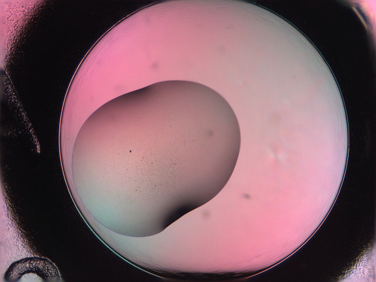 063v_A12_ImagerDefaults_0.jpg