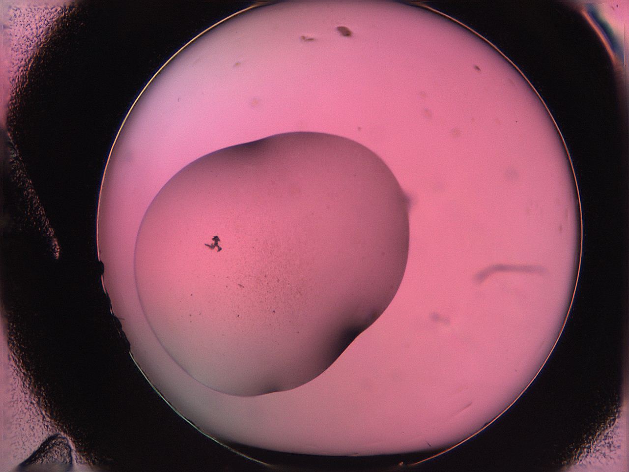 063v_A11_ImagerDefaults_0.jpg