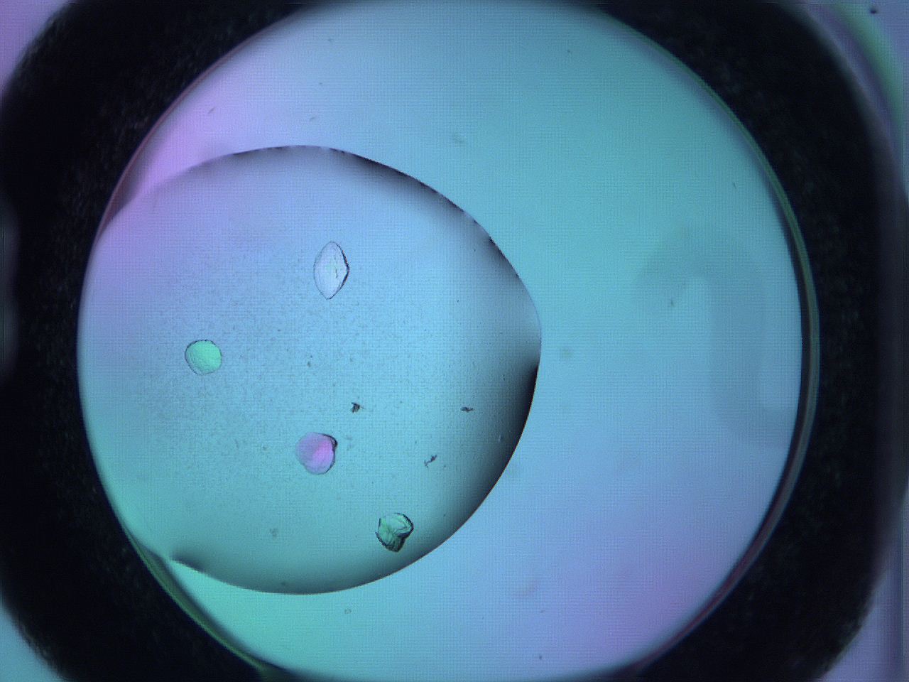 063w_B4_ImagerDefaults_9.jpg