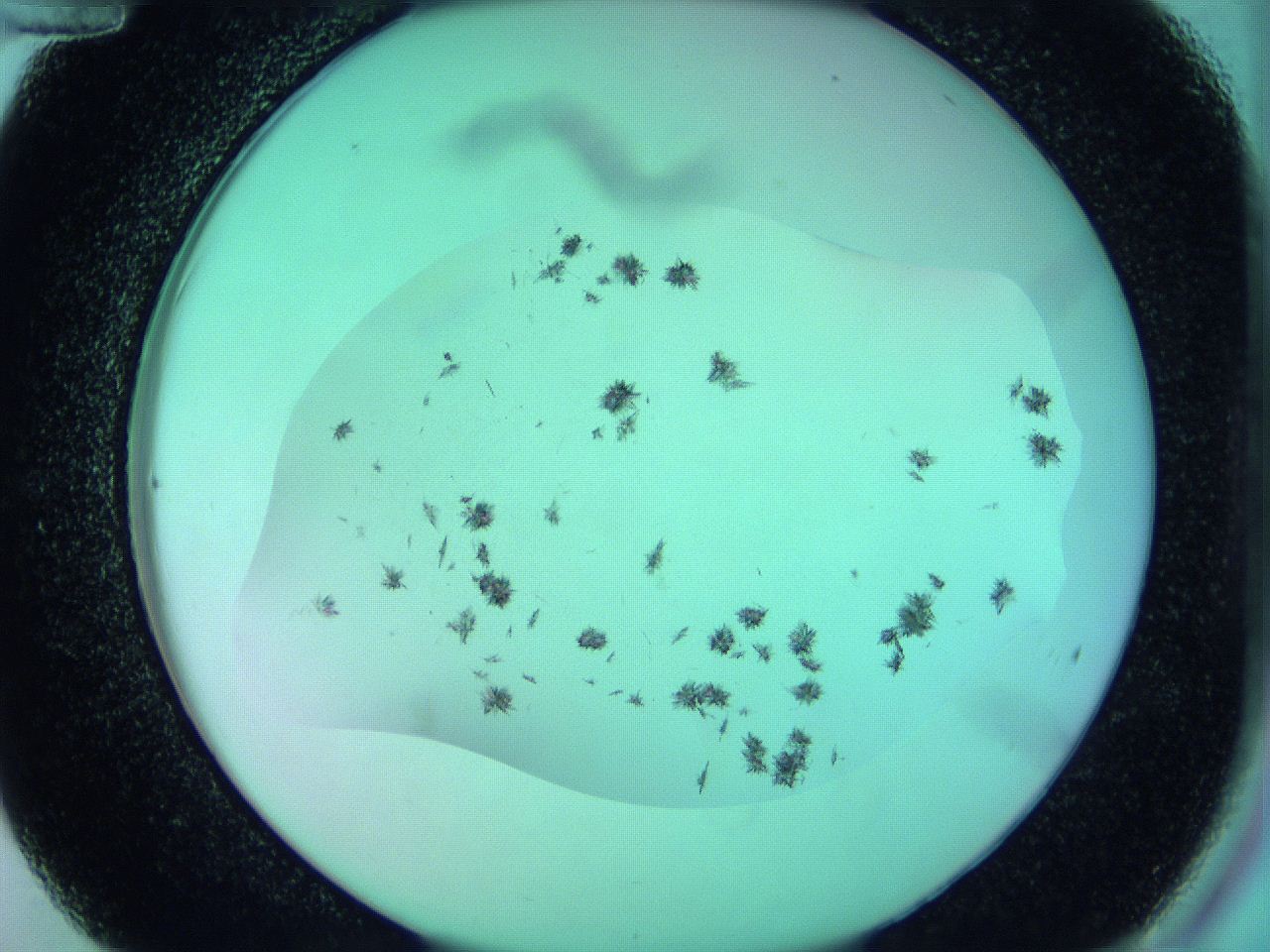 063w_C12_ImagerDefaults_8.jpg