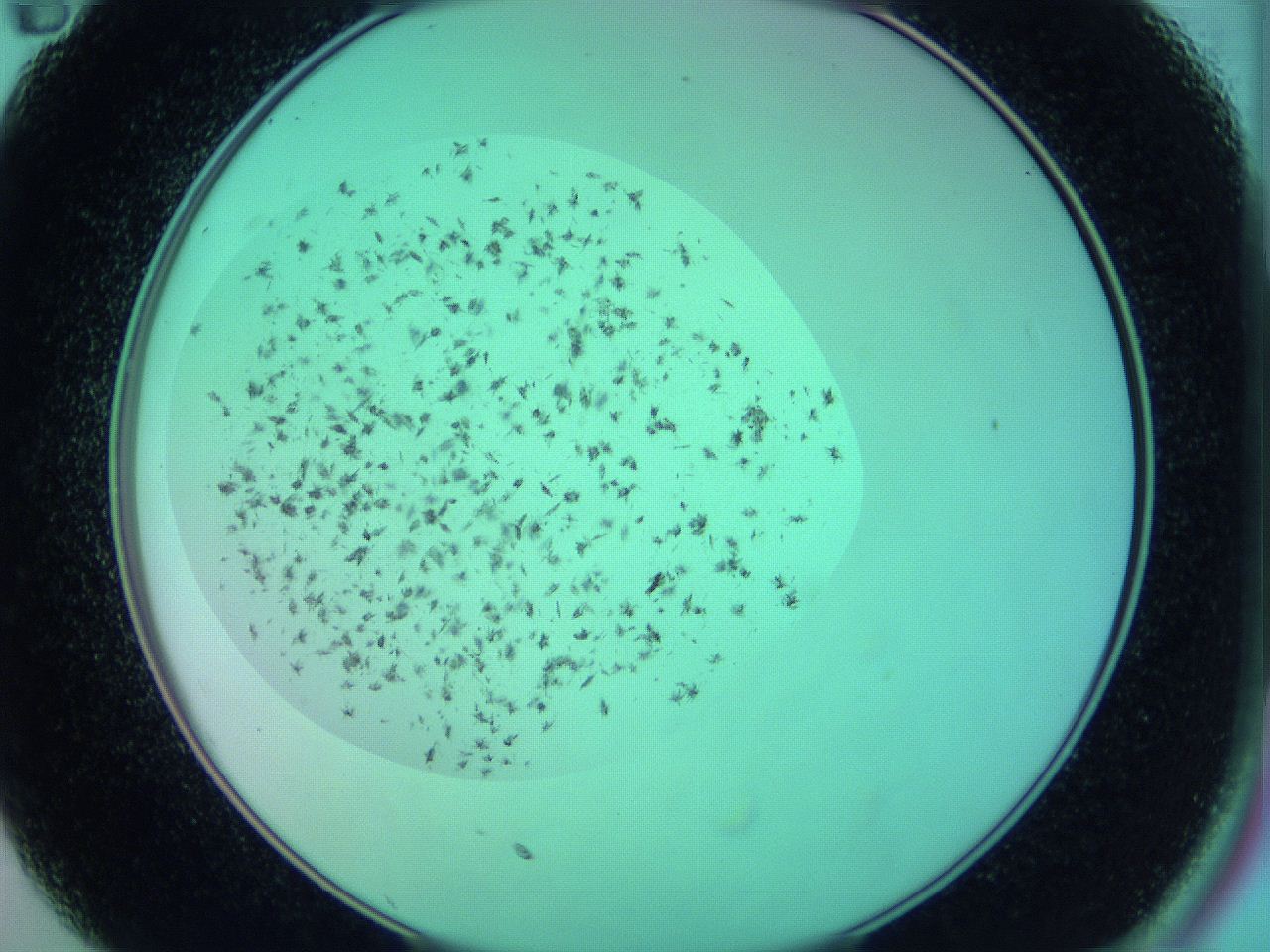 063w_C11_ImagerDefaults_7.jpg