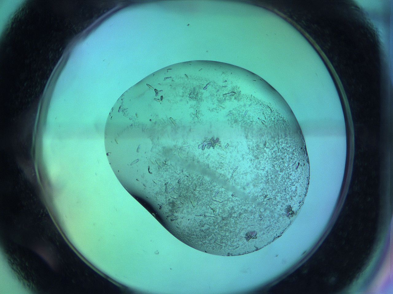 063w_D8_ImagerDefaults_9.jpg