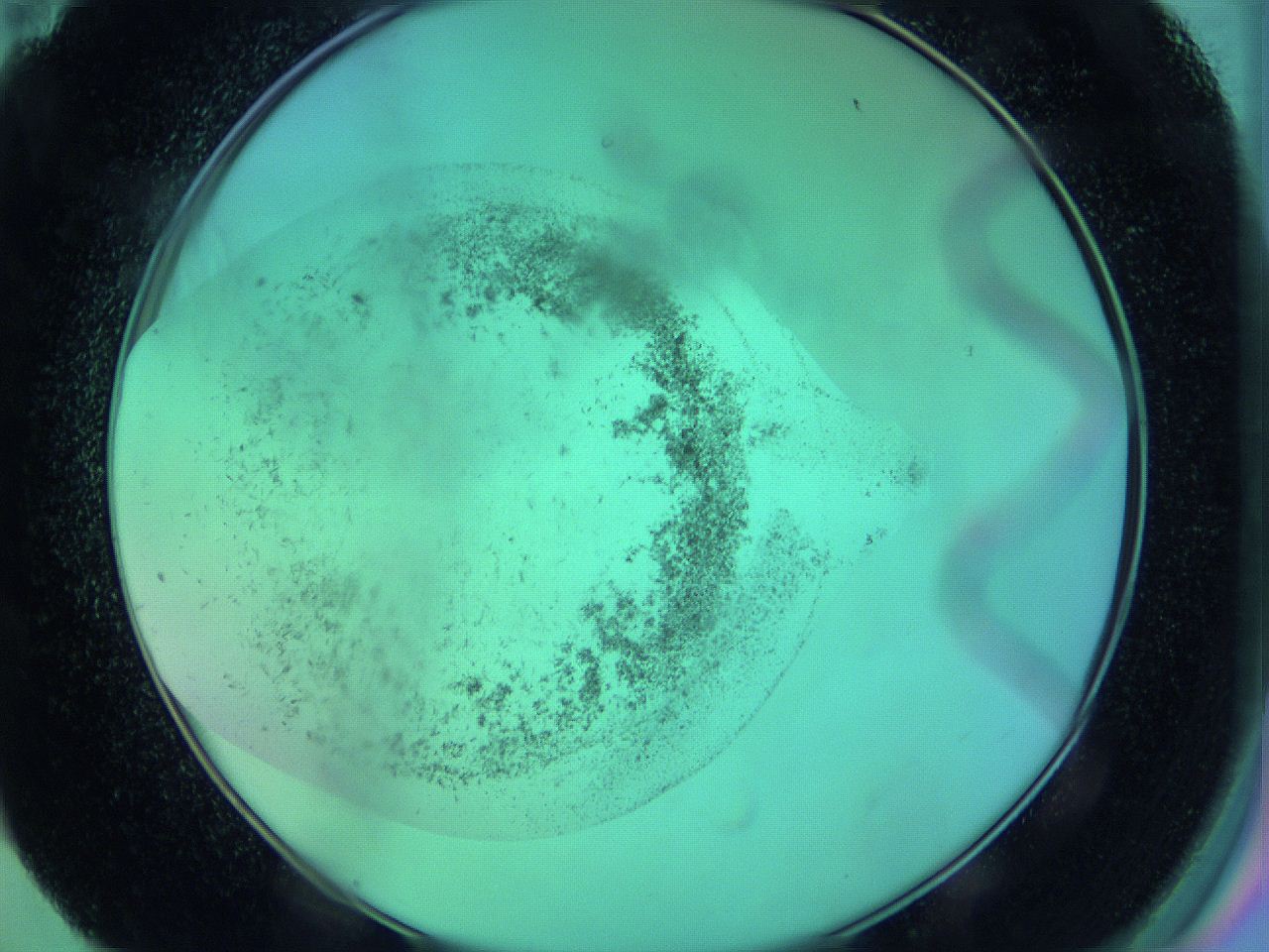 063w_E11_ImagerDefaults_7.jpg