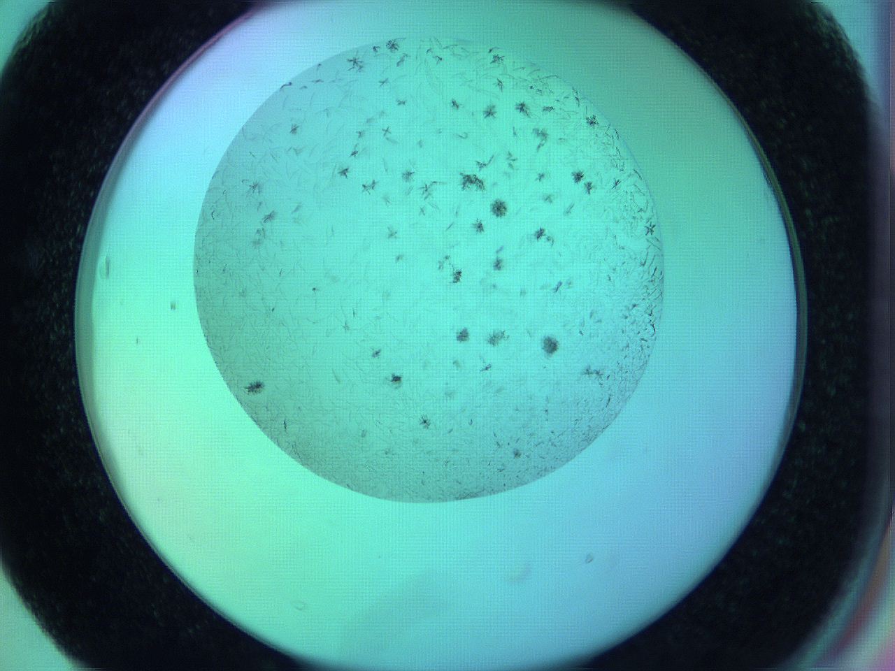 063w_F3_ImagerDefaults_8.jpg
