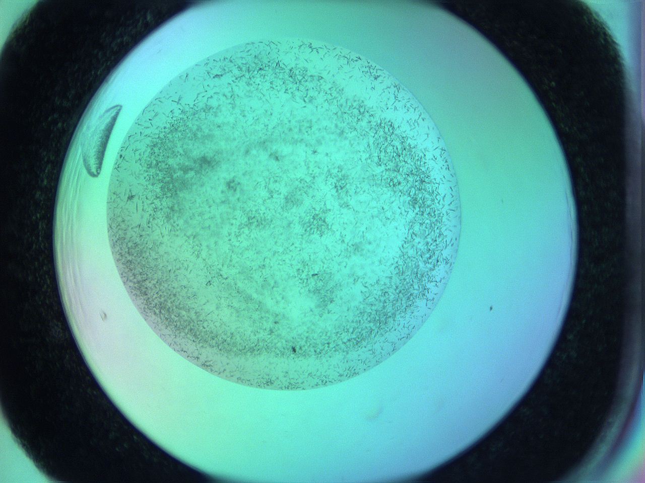 063w_F5_ImagerDefaults_8.jpg