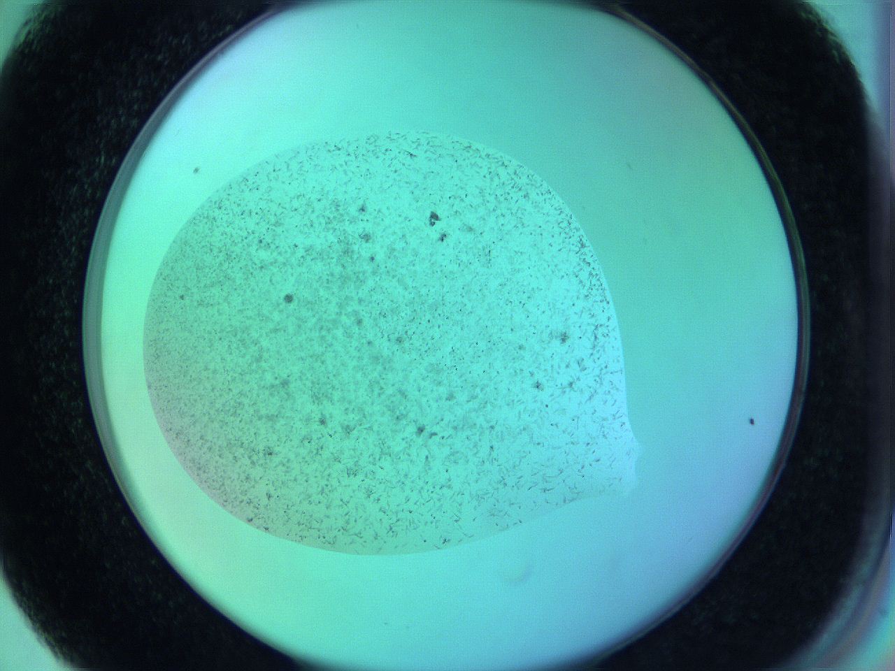 063w_F6_ImagerDefaults_8.jpg