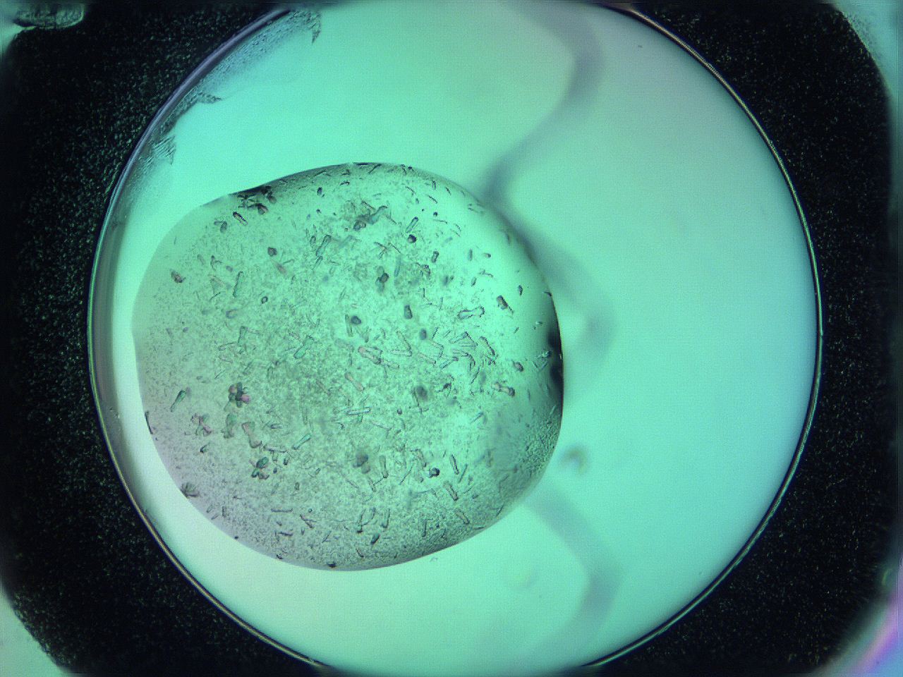 063w_F12_ImagerDefaults_9.jpg