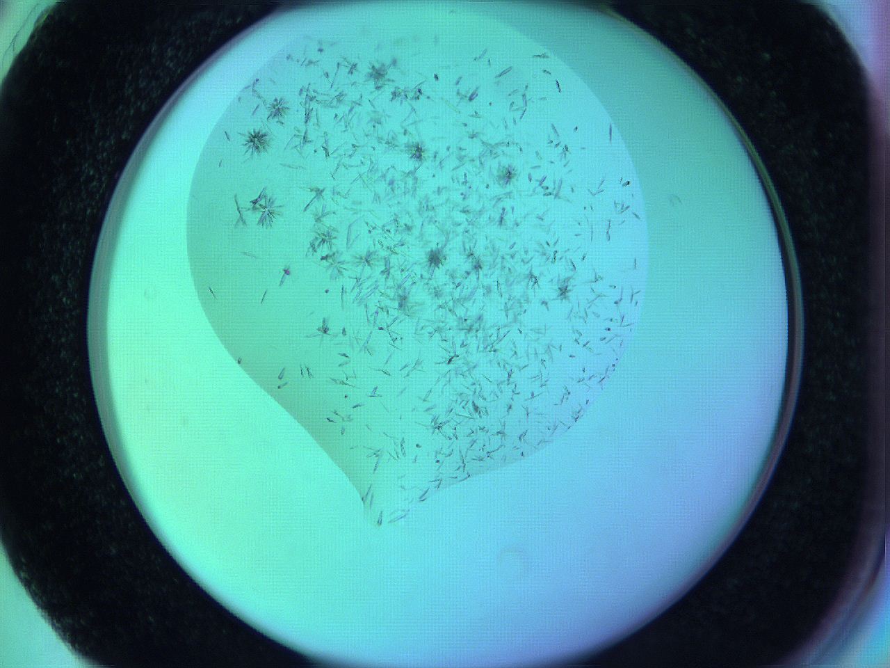 063w_G2_ImagerDefaults_9.jpg