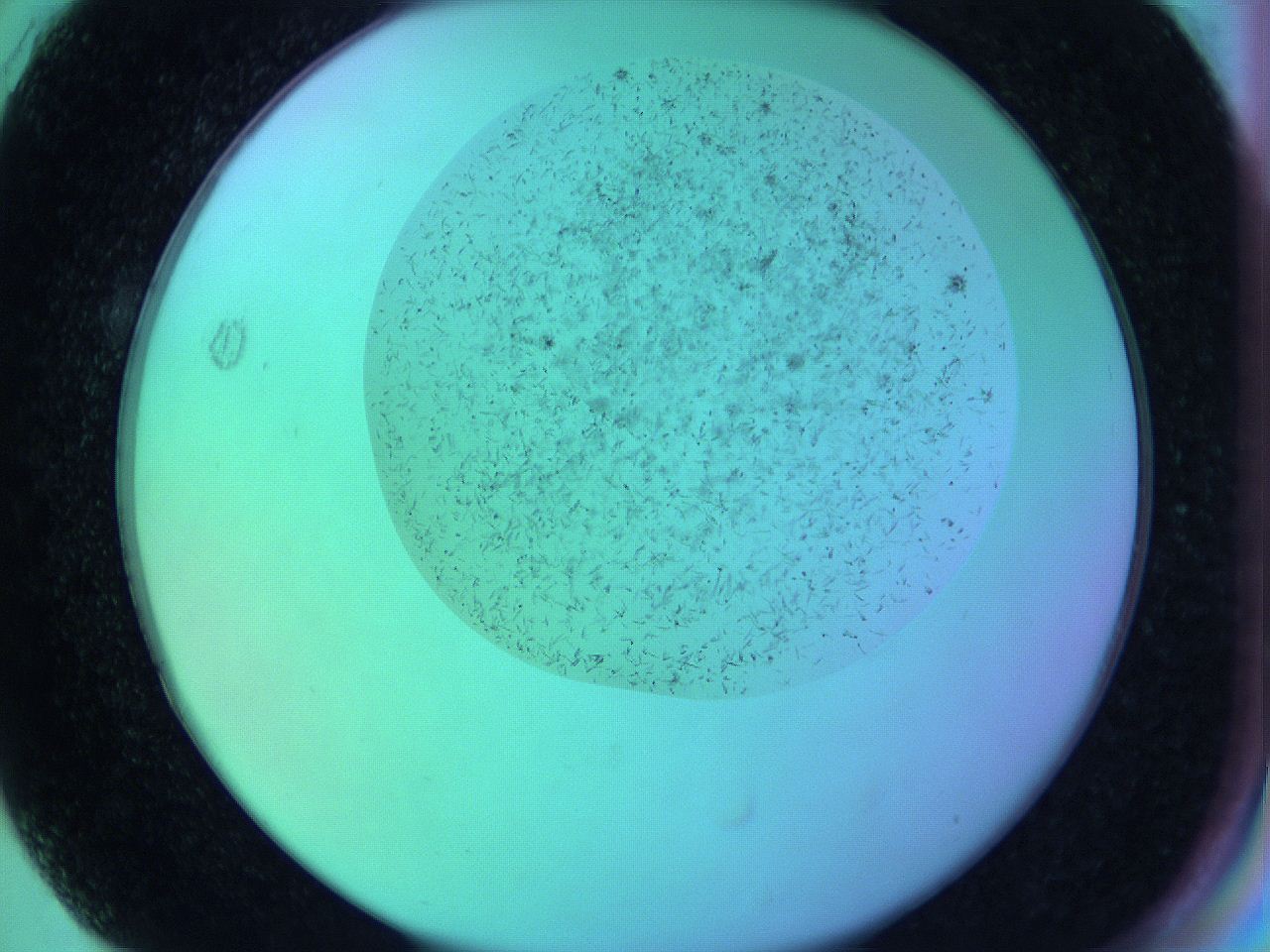 063w_G3_ImagerDefaults_9.jpg