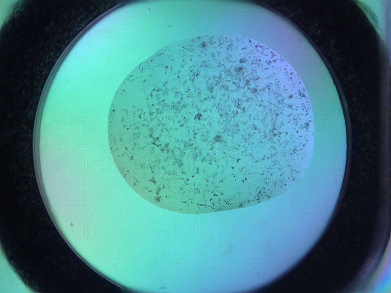 063w_G4_ImagerDefaults_9.jpg