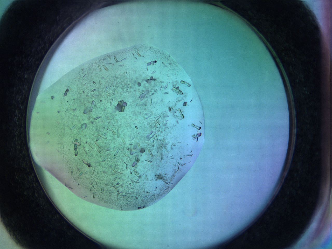 063w_G8_ImagerDefaults_9.jpg