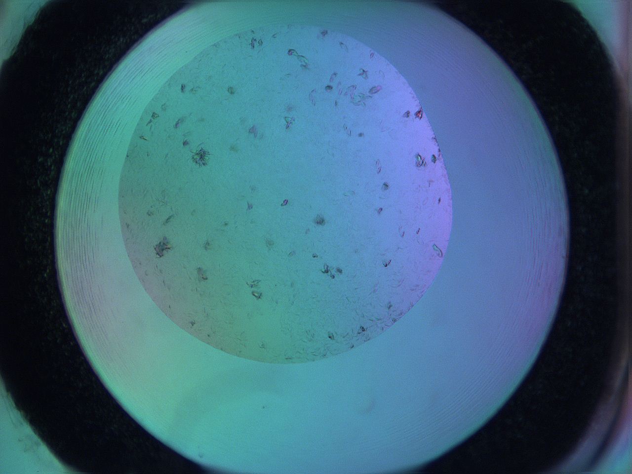 063w_H2_ImagerDefaults_9.jpg
