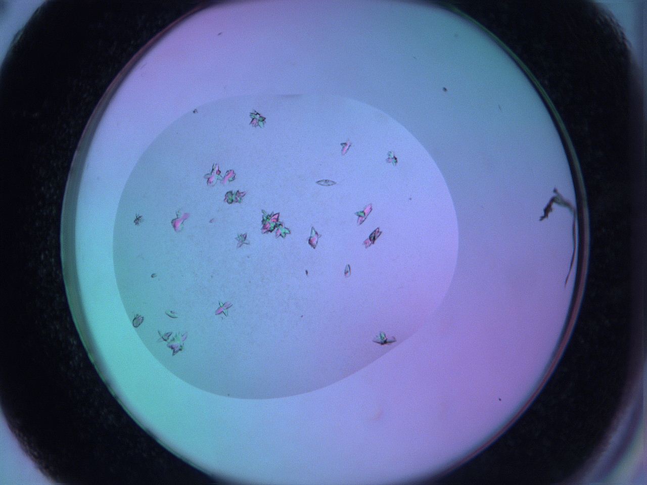 063x_C2_ImagerDefaults_9.jpg