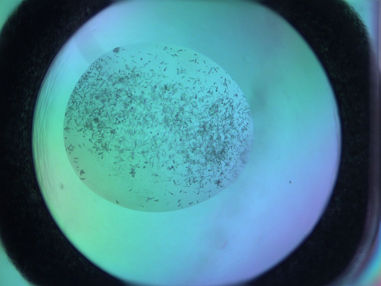 063x_F5_ImagerDefaults_9.jpg