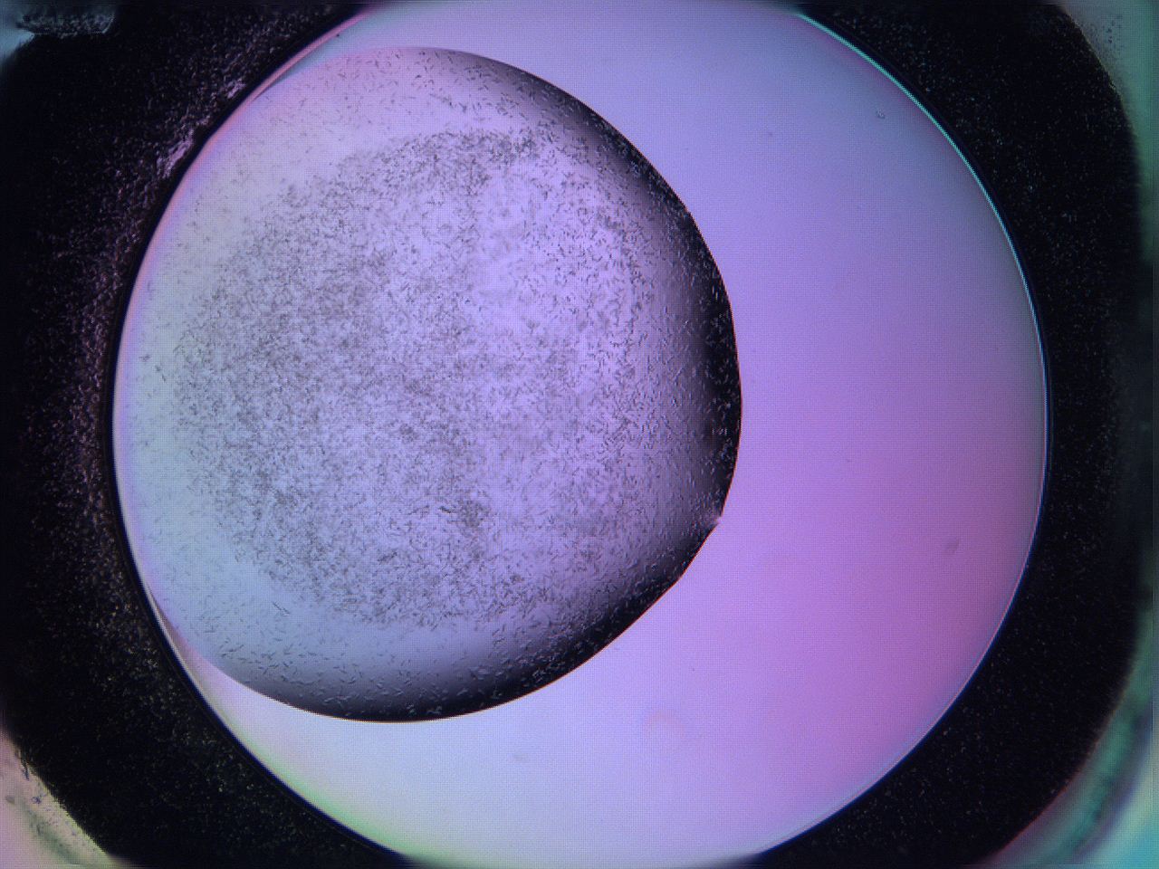 063x_H12_ImagerDefaults_7.jpg