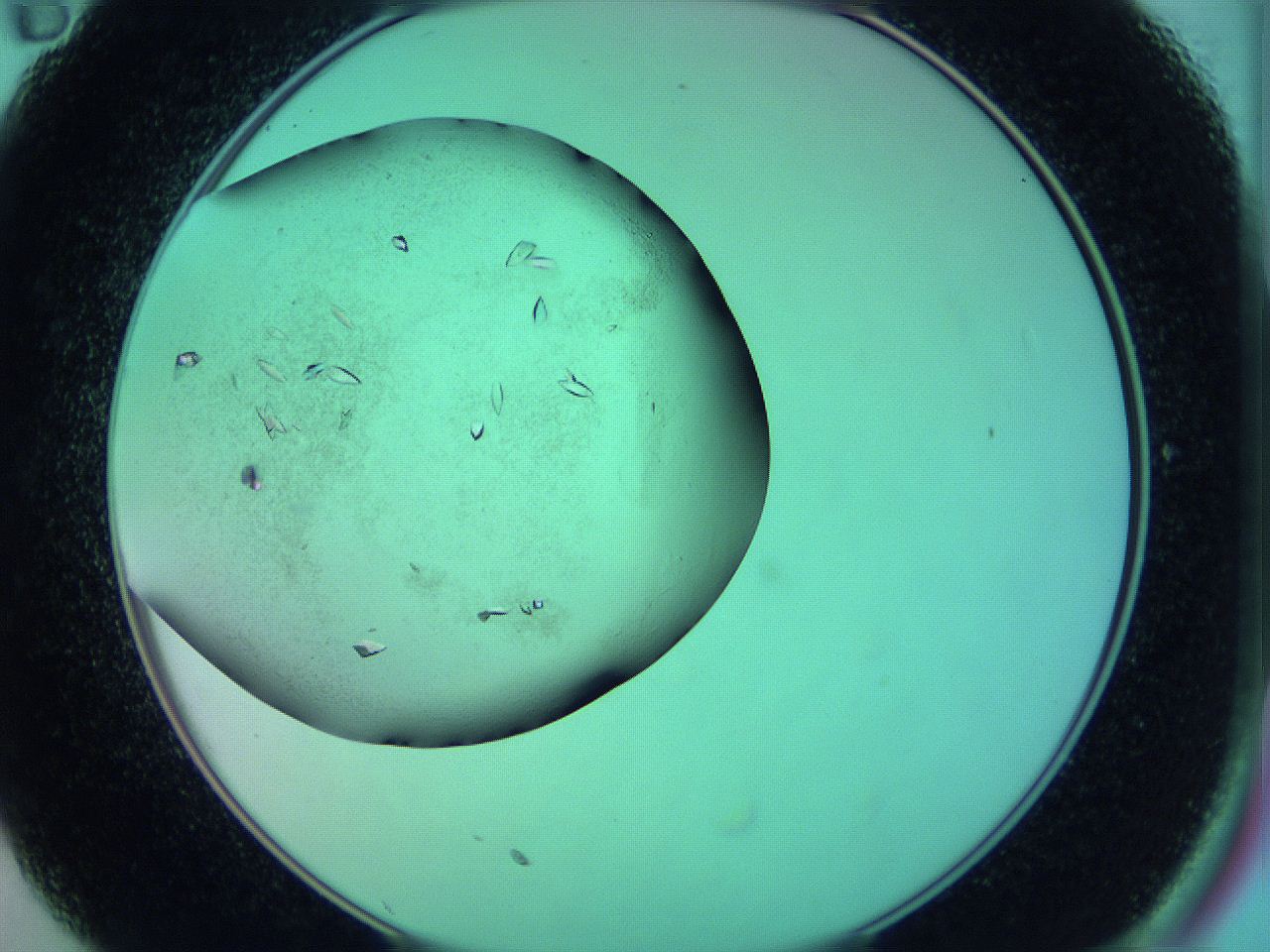 063y_C11_ImagerDefaults_9.jpg
