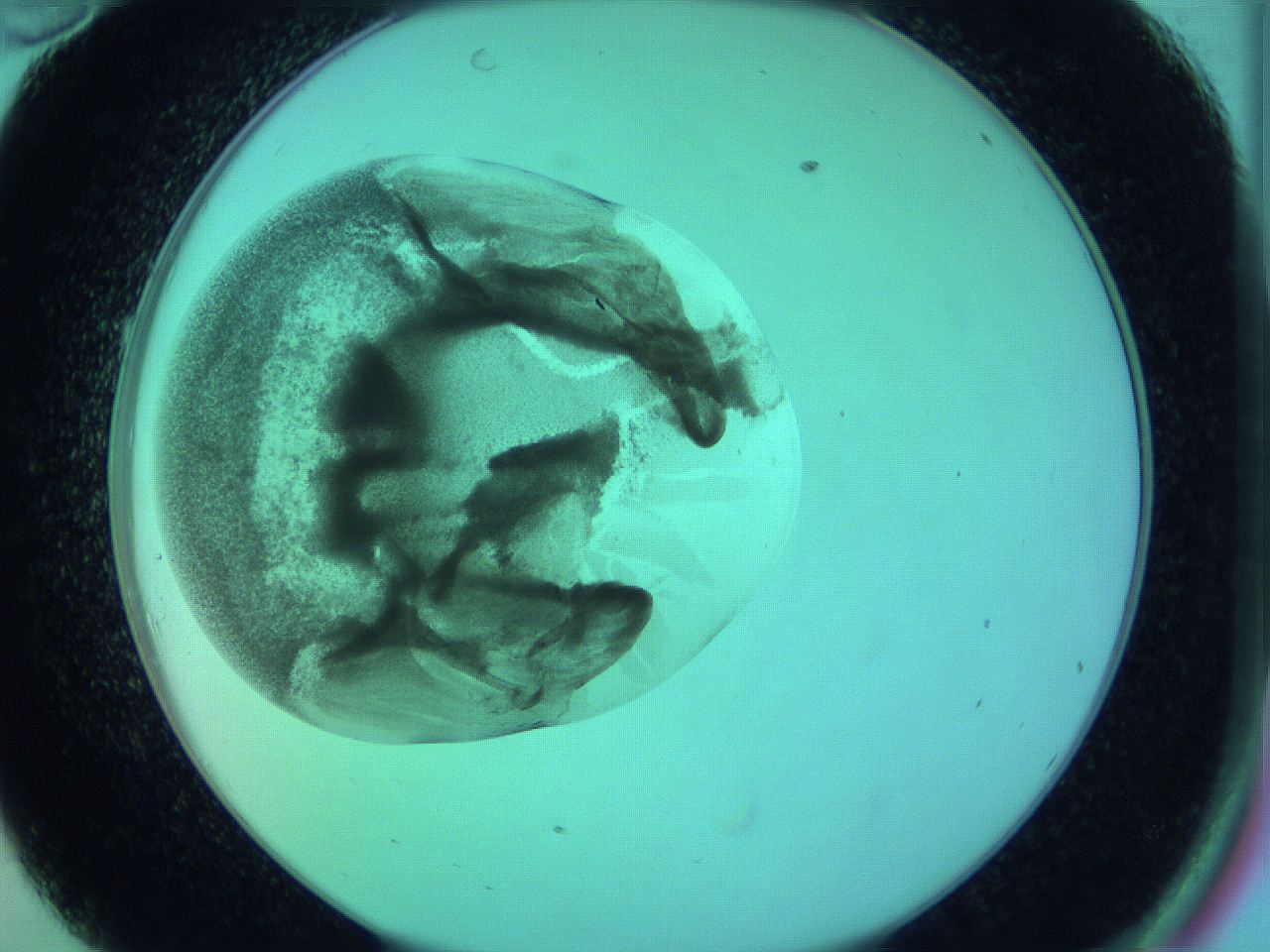 063y_C10_ImagerDefaults_3.jpg