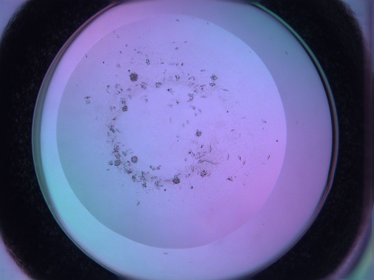 063y_D1_ImagerDefaults_9.jpg