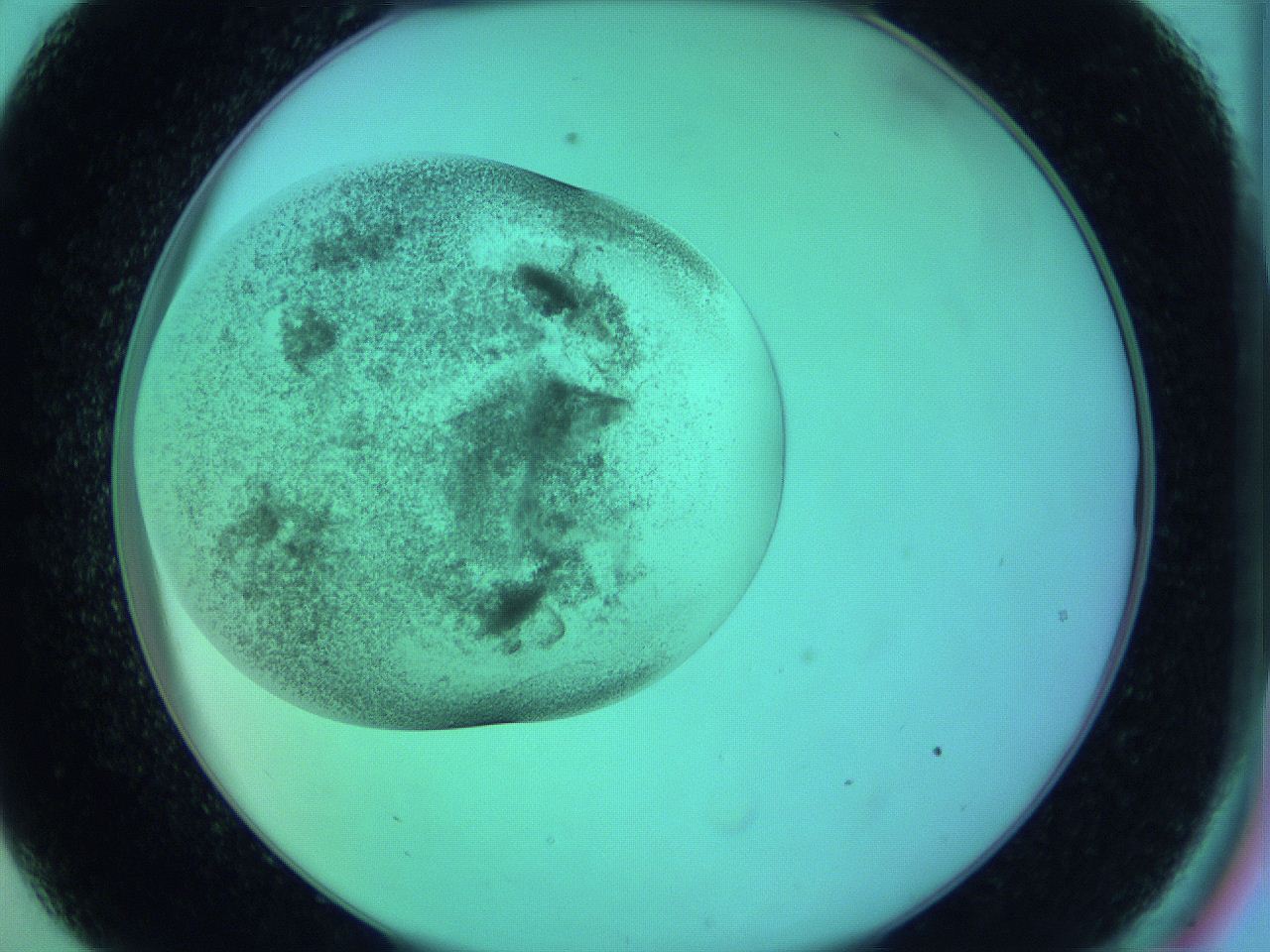 063y_C9_ImagerDefaults_3.jpg