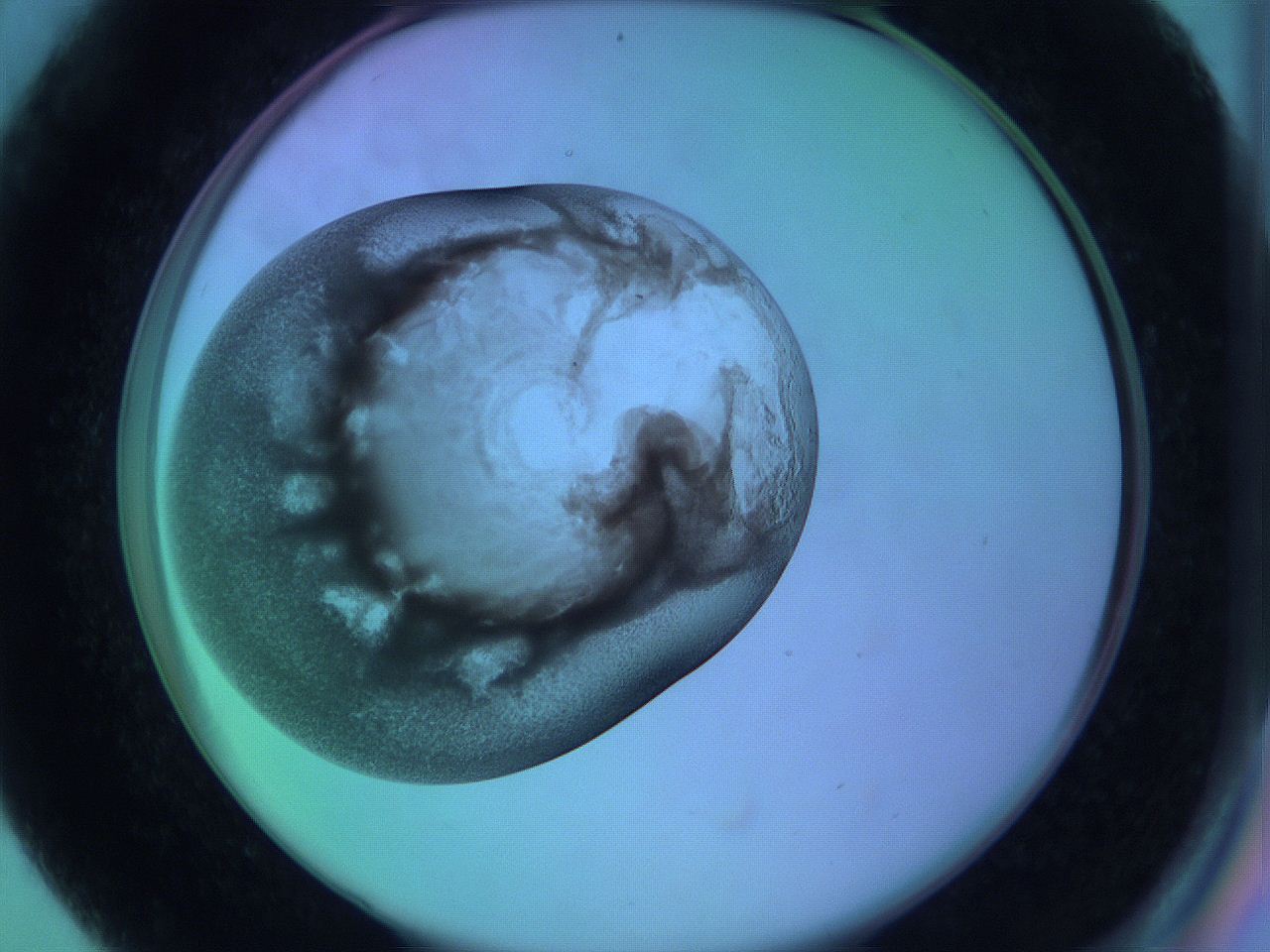 063y_C4_ImagerDefaults_3.jpg