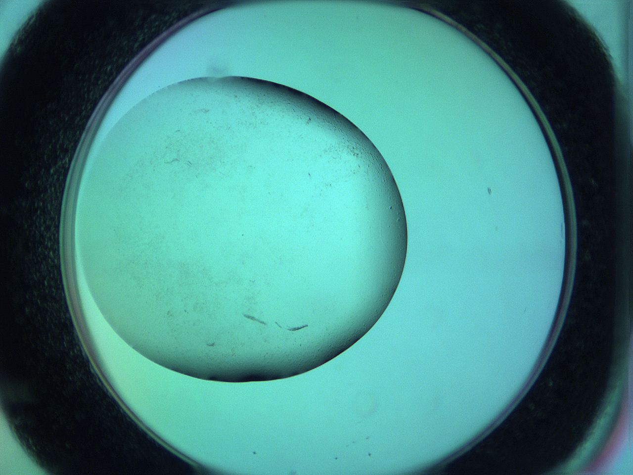 063y_B8_ImagerDefaults_3.jpg