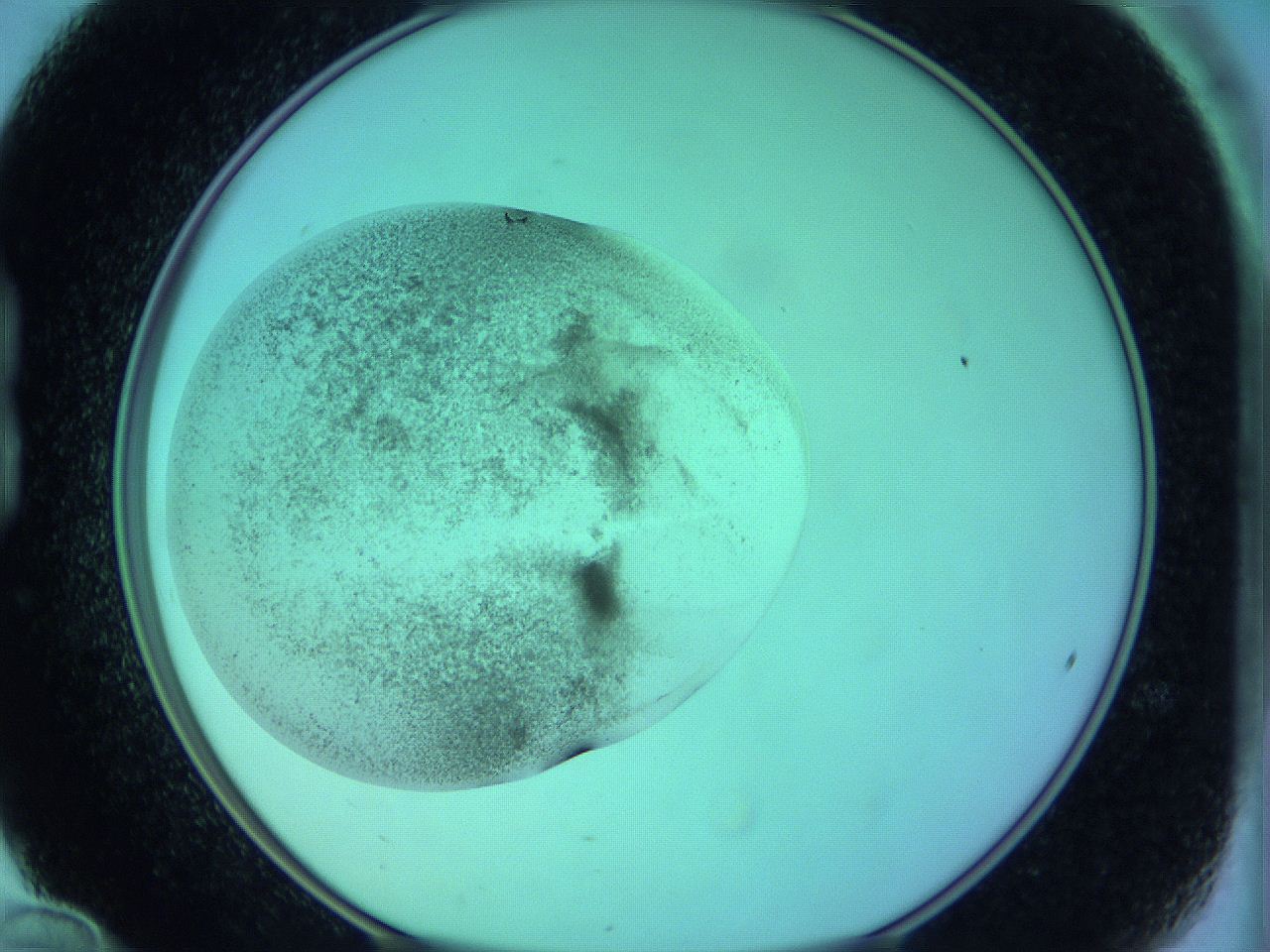 063y_B12_ImagerDefaults_3.jpg
