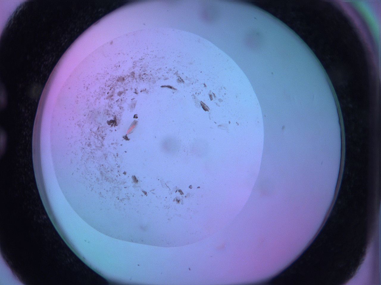 063y_C2_ImagerDefaults_3.jpg