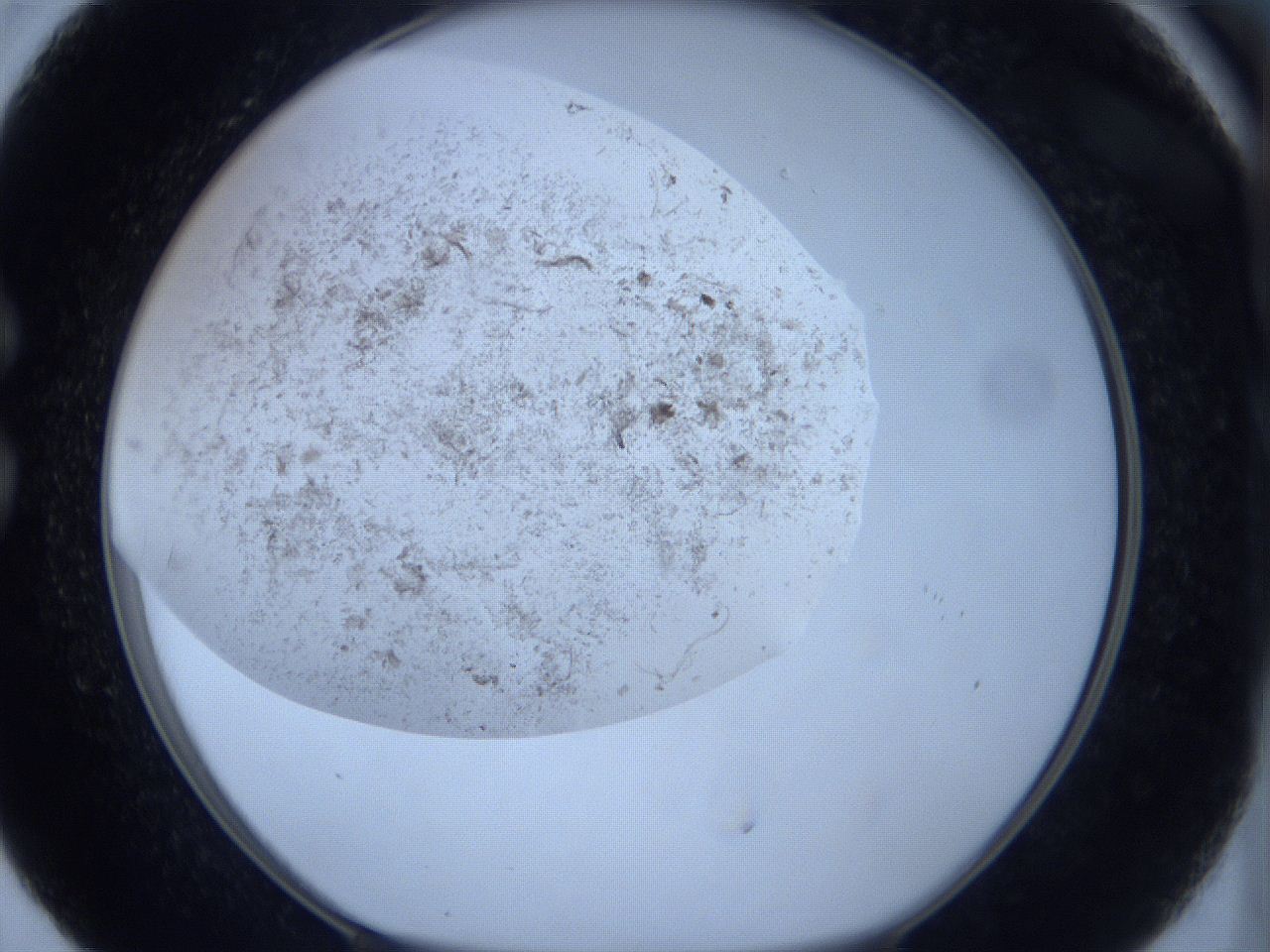 063y_C5_ImagerDefaults_3.jpg