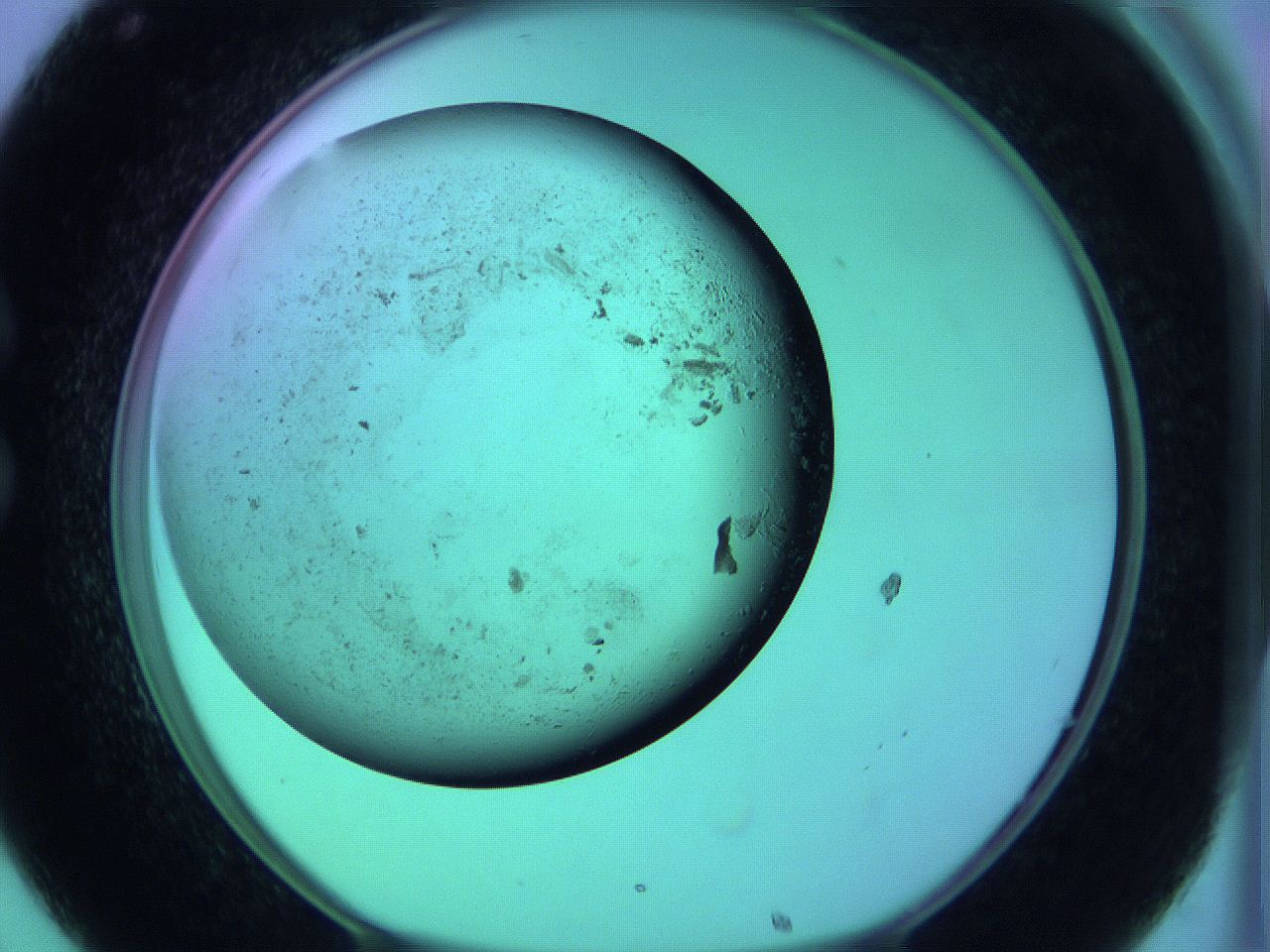 063y_C8_ImagerDefaults_3.jpg