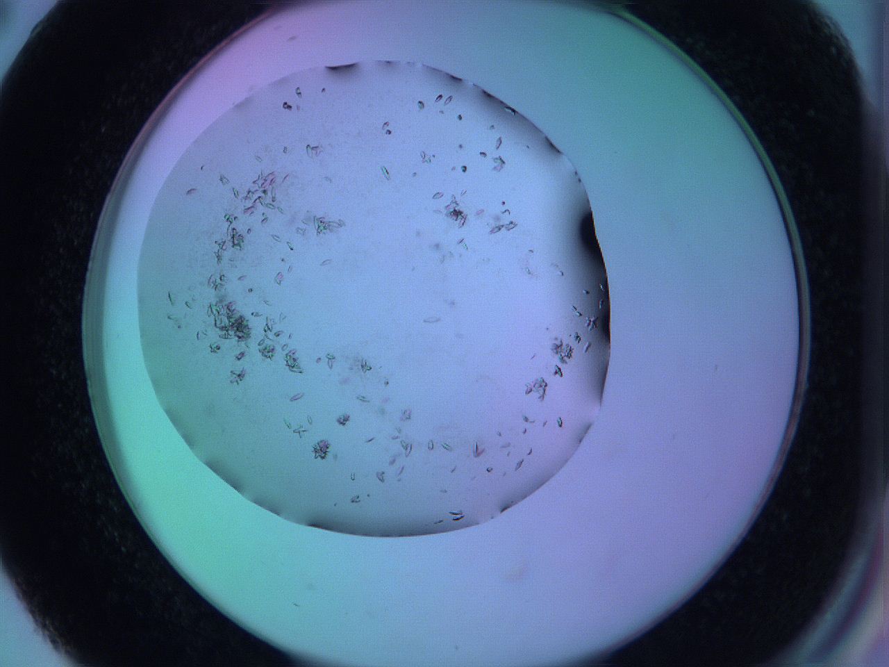 063y_D2_ImagerDefaults_9.jpg