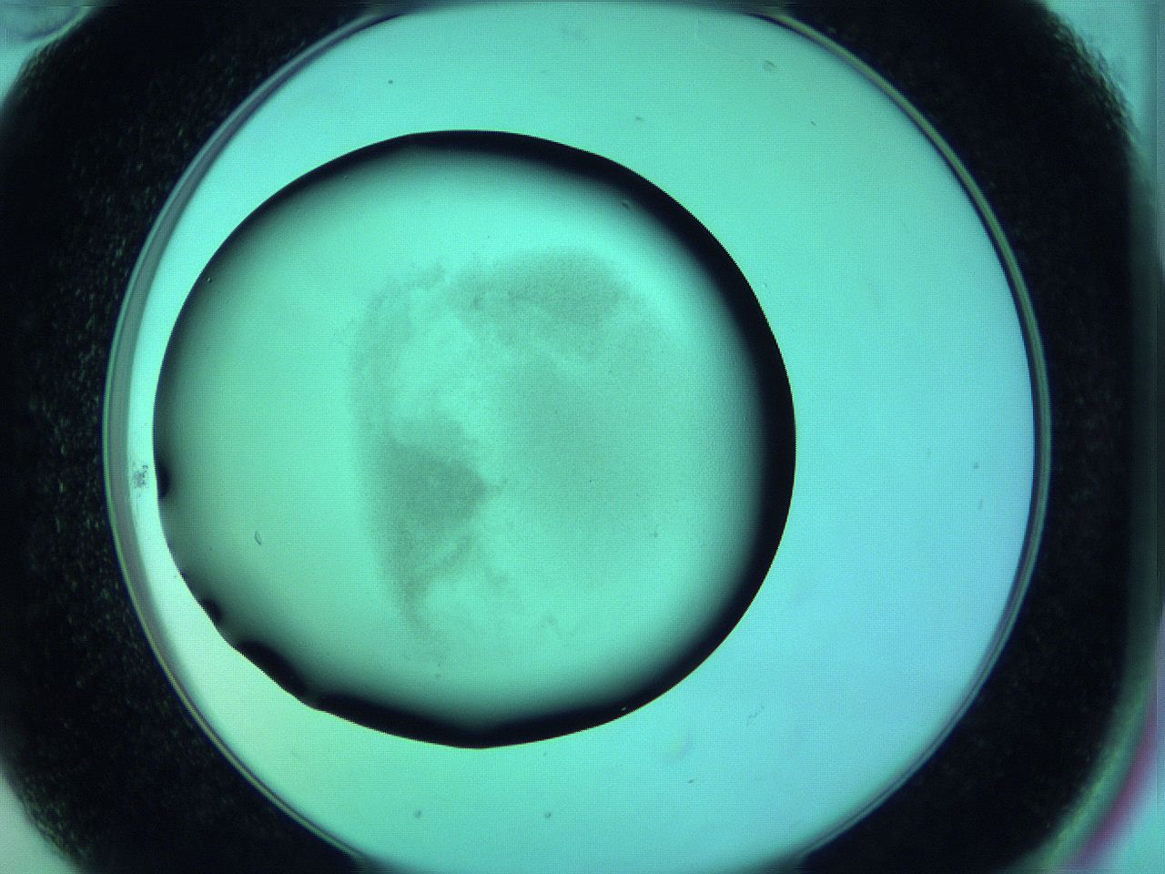063y_B10_ImagerDefaults_3.jpg