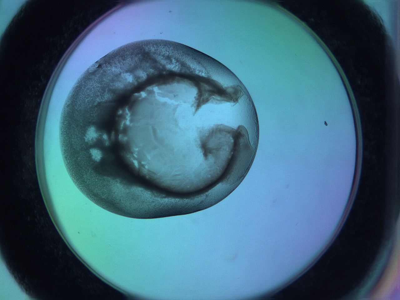 063y_D4_ImagerDefaults_3.jpg