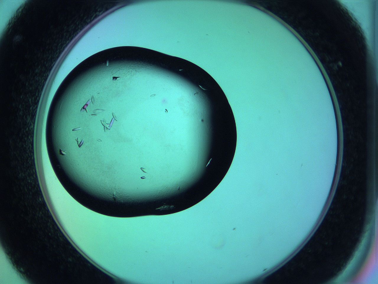 063y_C8_ImagerDefaults_9.jpg
