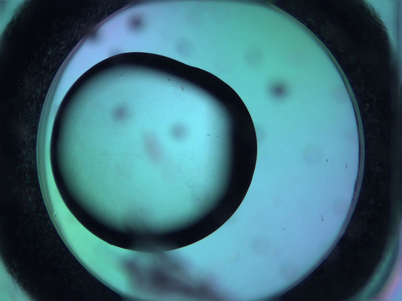 063y_C6_ImagerDefaults_0.jpg