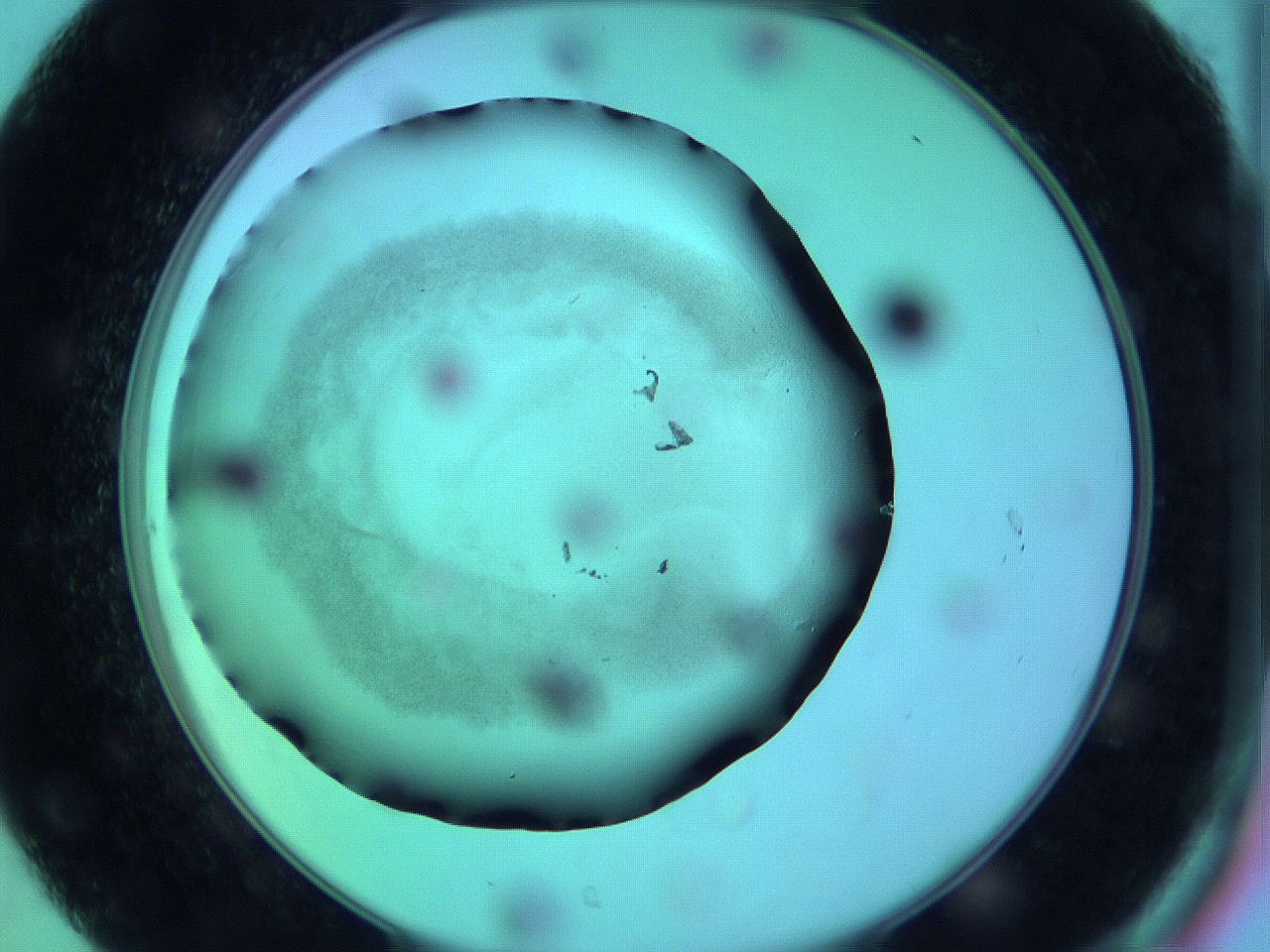 063y_C7_ImagerDefaults_3.jpg