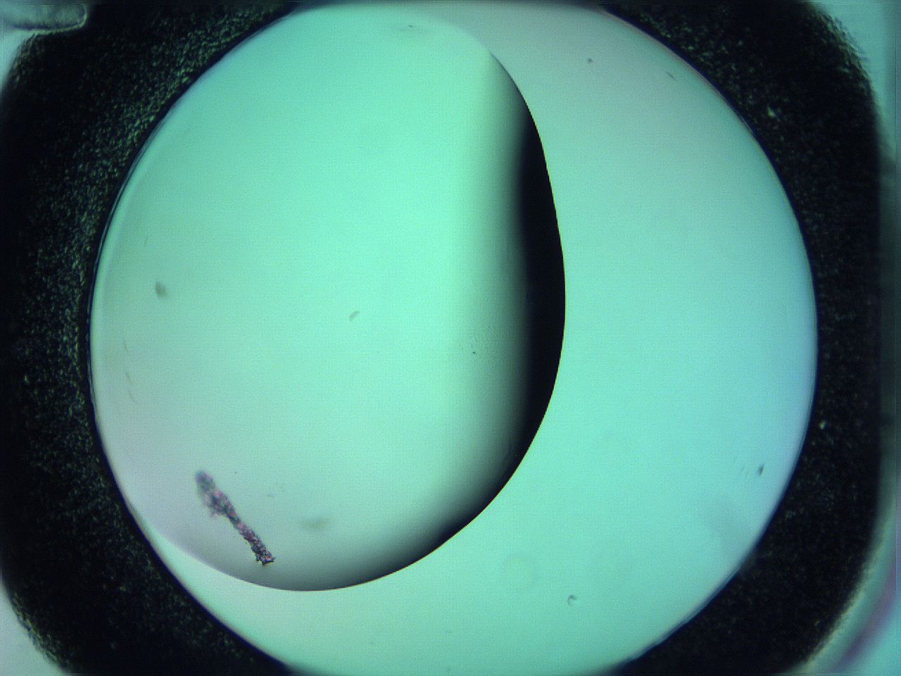 063y_C12_ImagerDefaults_0.jpg