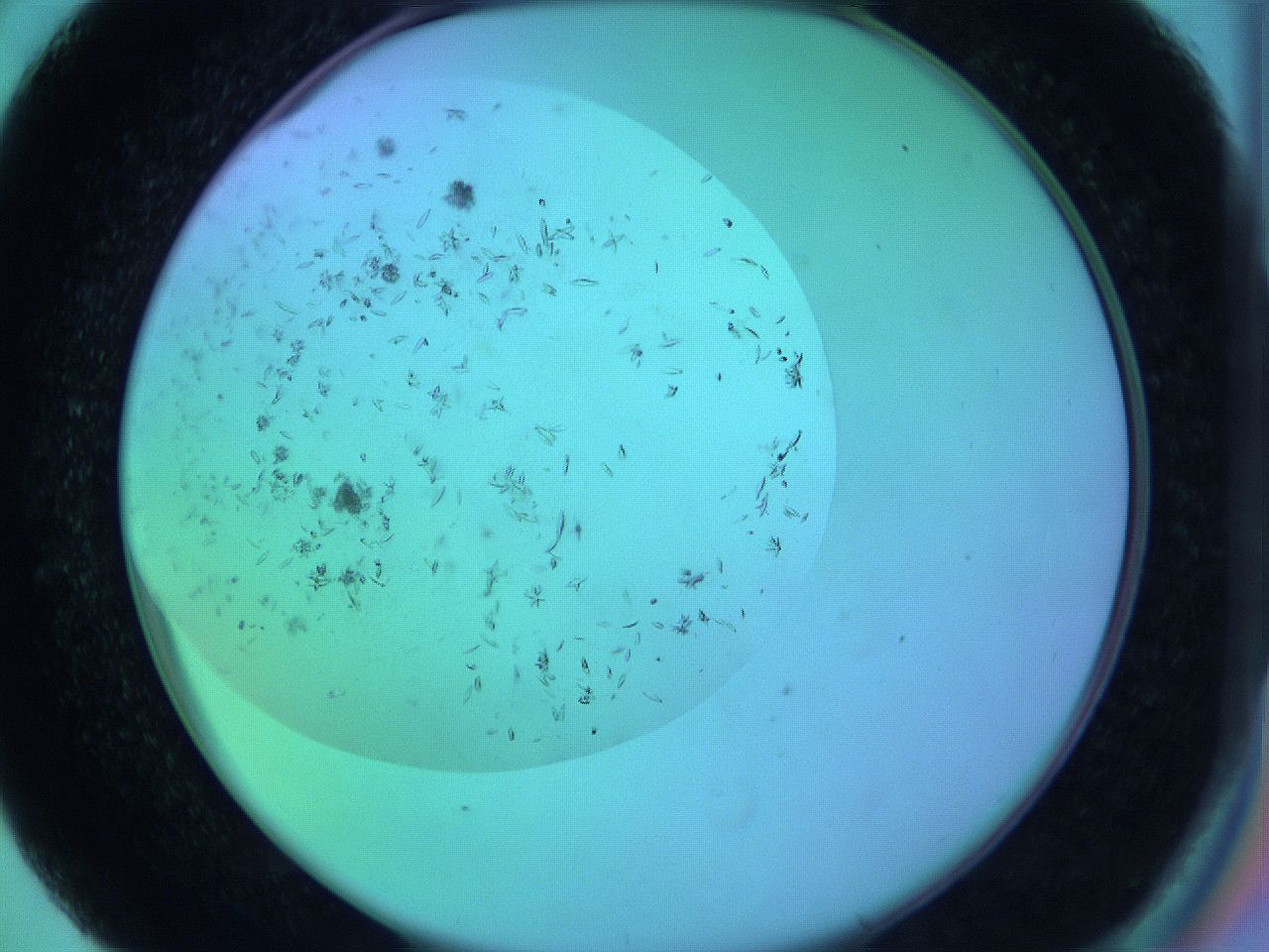 063y_D5_ImagerDefaults_9.jpg
