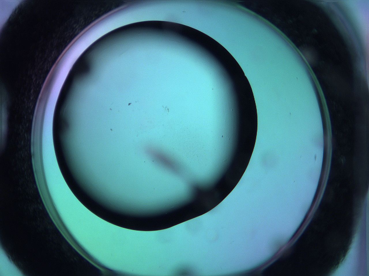 063y_D6_ImagerDefaults_0.jpg