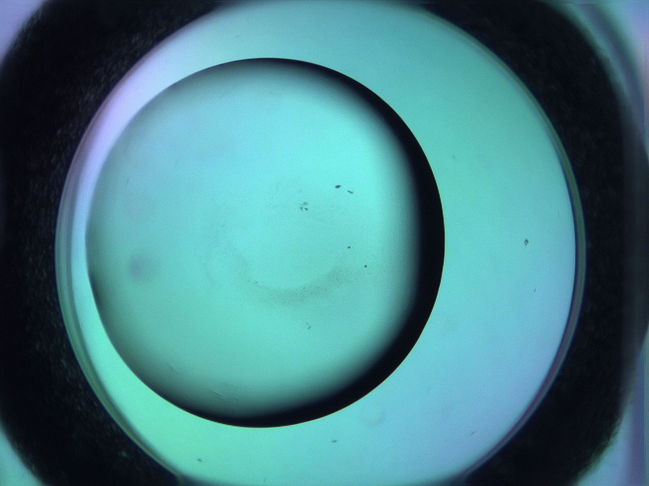 063y_D7_ImagerDefaults_0.jpg