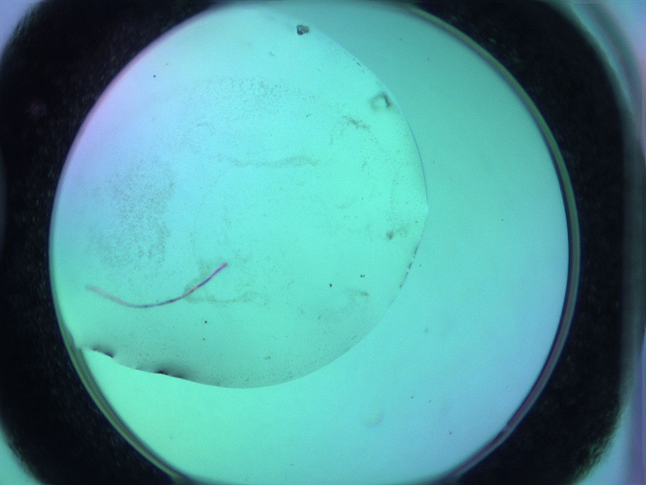 063y_D8_ImagerDefaults_3.jpg